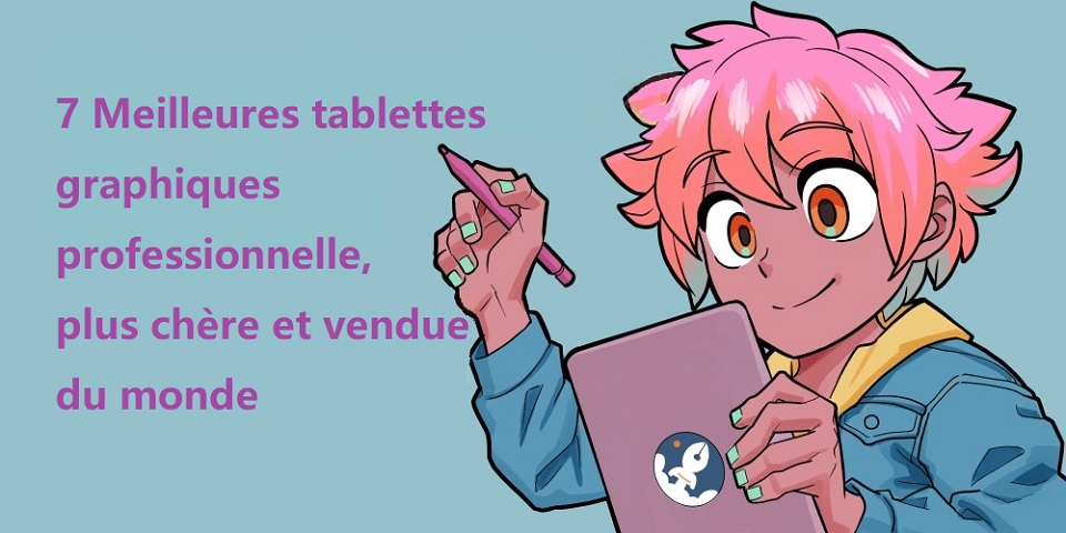 Meilleures tablettes graphiques professionnelle, plus chère et vendue du monde