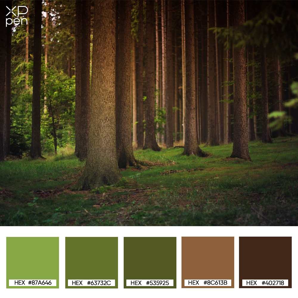brown trunks forest palette brown trunks forest palette